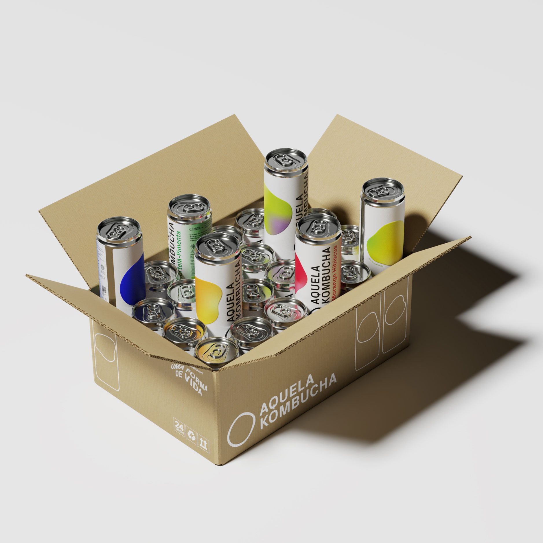 0-esa-la-en-casa-de-kombucha-en-va-customizada